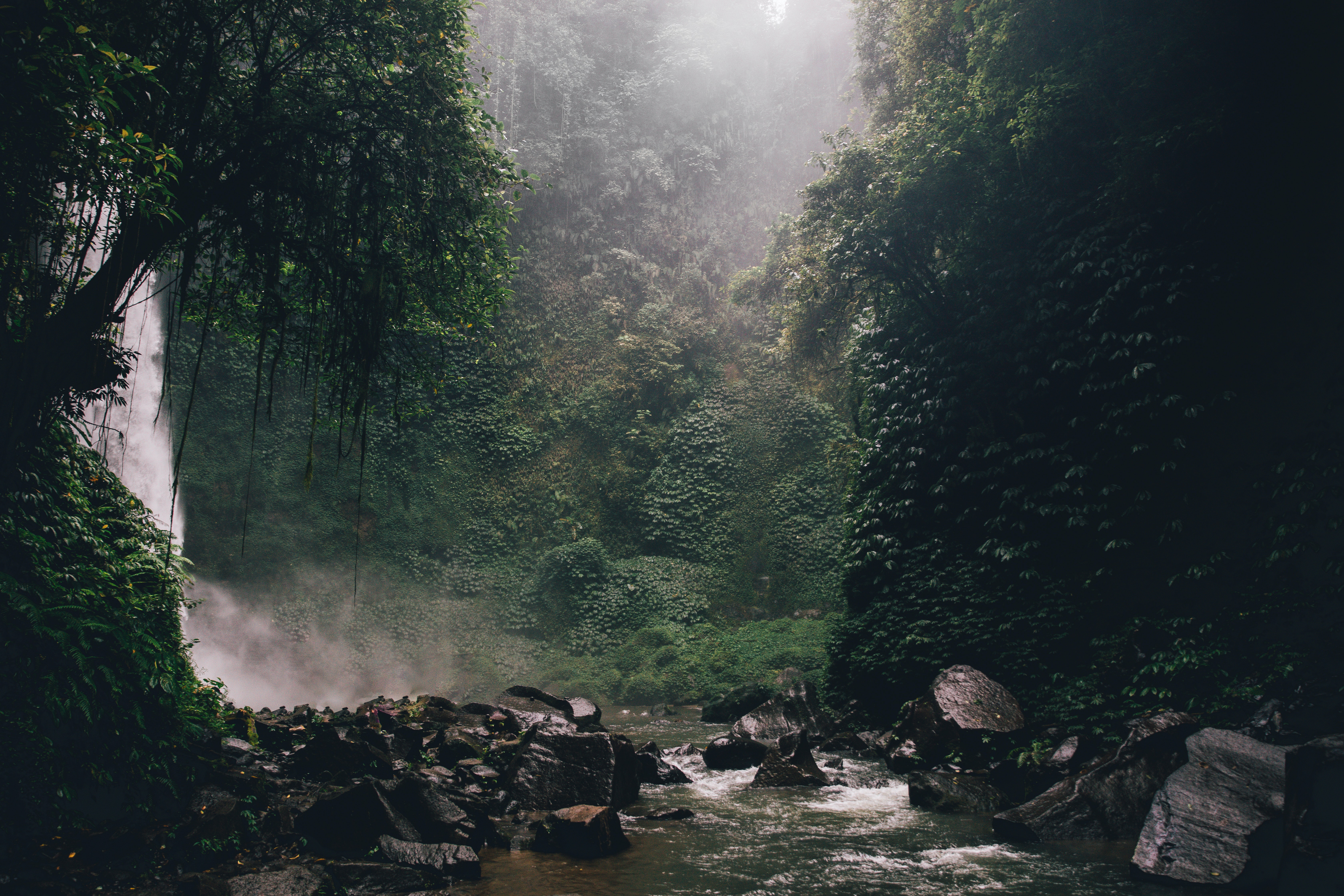 Gestión Ambiental con auditorías y asesorías